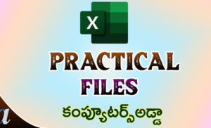 Ms-Excel Advanced Functions Formats Files || Practice file ||