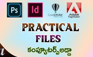 Practical Files in Ms-Word Designing Packages & Windows