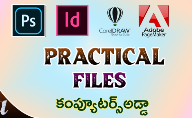 Practical Files in Ms-Word Designing Packages & Windows
