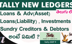 Tally New Ledgers (Loans & Advances(Asset) , Loans (Liability), Investments)