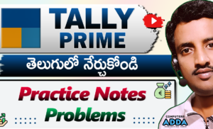 Tally Prime in Telugu Practice Problems ( 28 Groups )
